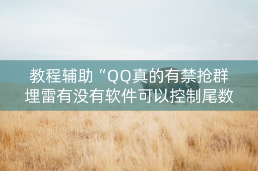 教程辅助“QQ真的有禁抢群埋雷有没有软件可以控制尾数”（详细透视教程）-哔哩哔哩