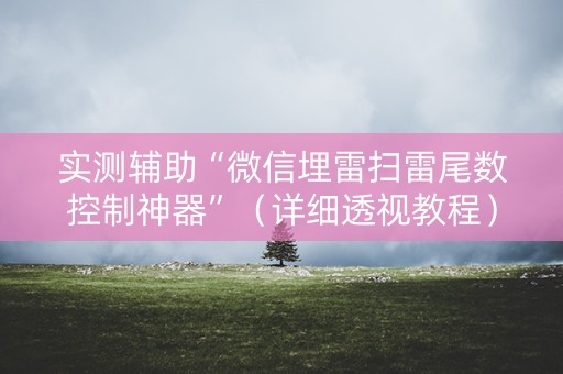 实测辅助“微信埋雷扫雷尾数控制神器”（详细透视教程）-哔哩哔哩