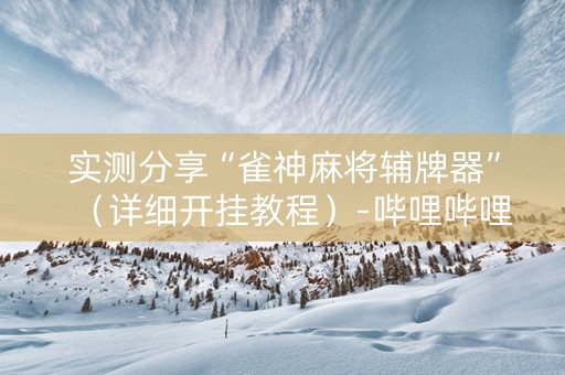 实测分享“雀神麻将辅牌器”（详细开挂教程）-哔哩哔哩