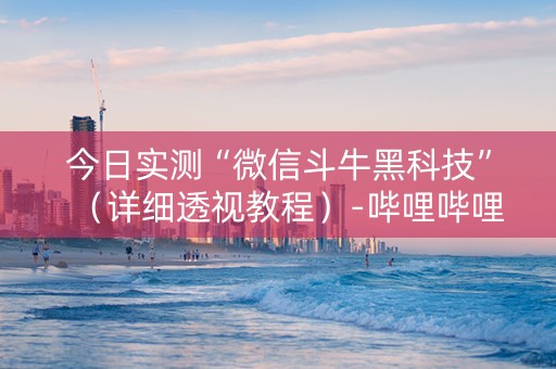 今日实测“微信斗牛黑科技”（详细透视教程）-哔哩哔哩