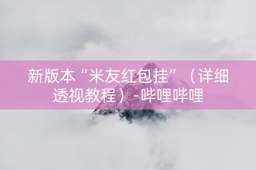 新版本“米友红包挂”（详细透视教程）-哔哩哔哩