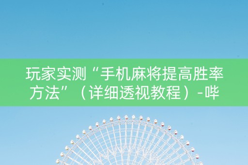 玩家实测“手机麻将提高胜率方法”（详细透视教程）-哔哩哔哩