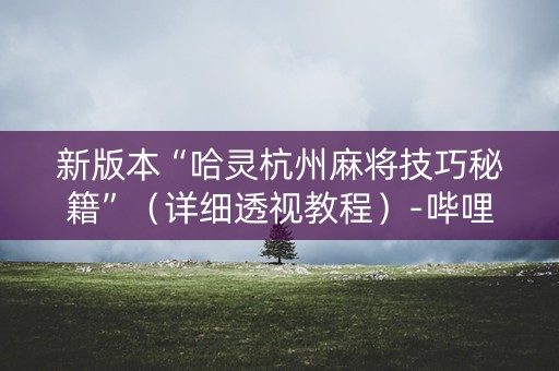 新版本“哈灵杭州麻将技巧秘籍”（详细透视教程）-哔哩哔哩