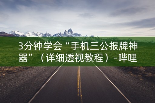 3分钟学会“手机三公报牌神器”（详细透视教程）-哔哩哔哩