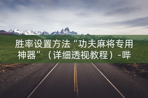 胜率设置方法“功夫麻将专用神器”（详细透视教程）-哔哩哔哩