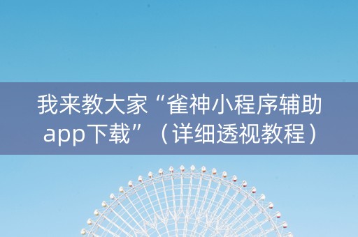 我来教大家“雀神小程序辅助app下载”（详细透视教程）-哔哩哔哩