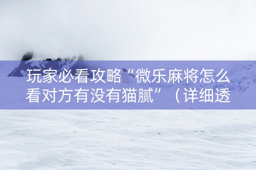 玩家必看攻略“微乐麻将怎么看对方有没有猫腻”（详细透视教程）-哔哩哔哩