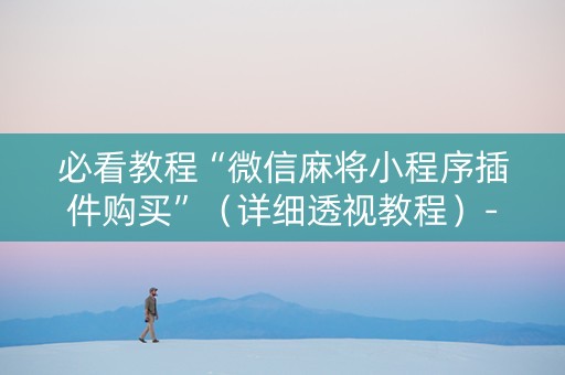 必看教程“微信麻将小程序插件购买”（详细透视教程）-哔哩哔哩