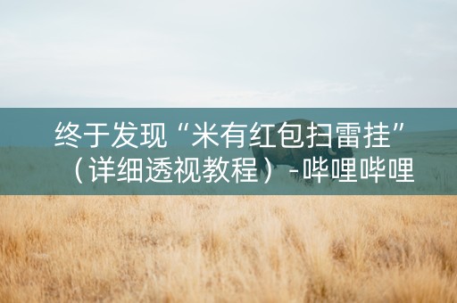 终于发现“米有红包扫雷挂”（详细透视教程）-哔哩哔哩
