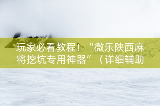 玩家必看教程！“微乐陕西麻将挖坑专用神器”（详细辅助教程）-哔哩哔哩