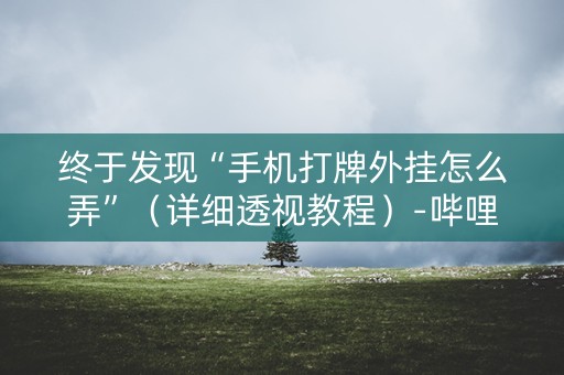 终于发现“手机打牌外挂怎么弄”（详细透视教程）-哔哩哔哩