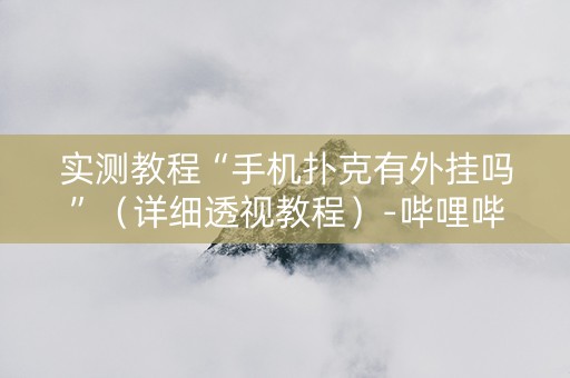 实测教程“手机扑克有外挂吗”（详细透视教程）-哔哩哔哩