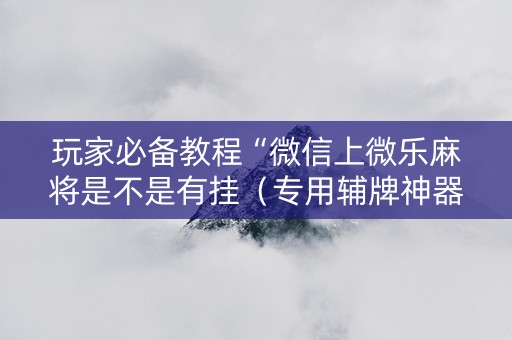 玩家必备教程“微信上微乐麻将是不是有挂（专用辅牌神器免安装）