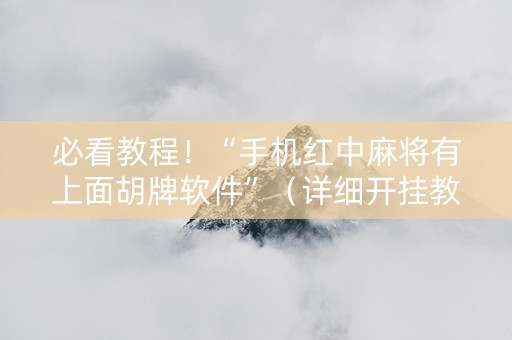 必看教程！“手机红中麻将有上面胡牌软件”（详细开挂教程）-哔哩哔哩
