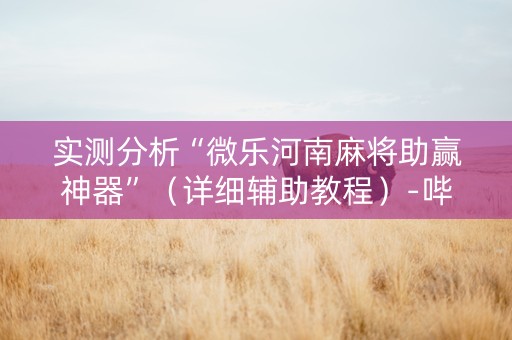 实测分析“微乐河南麻将助赢神器”（详细辅助教程）-哔哩哔哩
