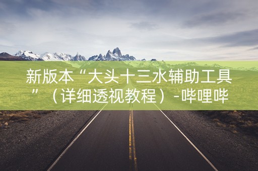 新版本“大头十三水辅助工具”（详细透视教程）-哔哩哔哩