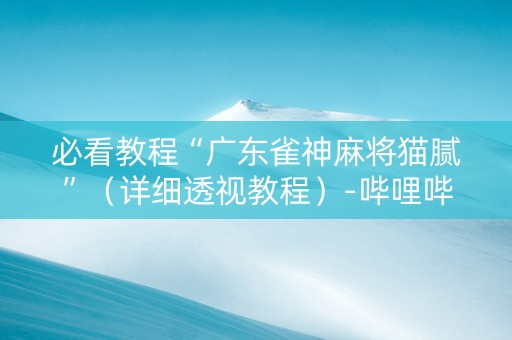 必看教程“广东雀神麻将猫腻”（详细透视教程）-哔哩哔哩