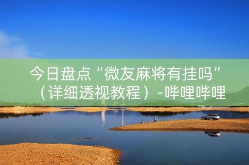 今日盘点“微友麻将有挂吗”（详细透视教程）-哔哩哔哩