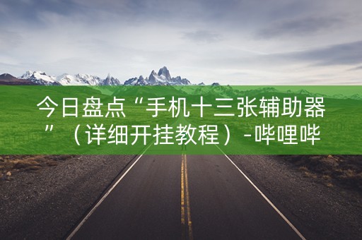 今日盘点“手机十三张辅助器”（详细开挂教程）-哔哩哔哩