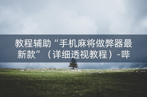 教程辅助“手机麻将做弊器最新款”（详细透视教程）-哔哩哔哩