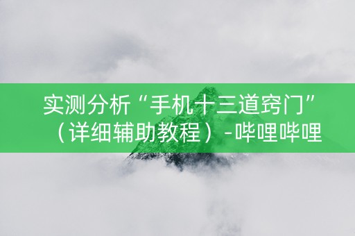 实测分析“手机十三道窍门”（详细辅助教程）-哔哩哔哩