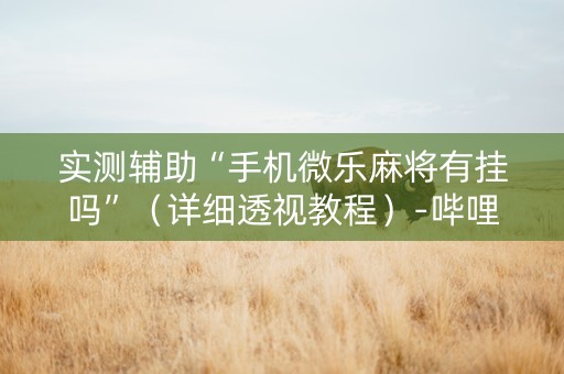 实测辅助“手机微乐麻将有挂吗”（详细透视教程）-哔哩哔哩