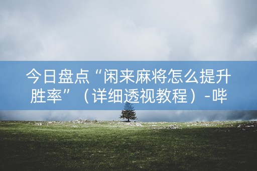 今日盘点“闲来麻将怎么提升胜率”（详细透视教程）-哔哩哔哩