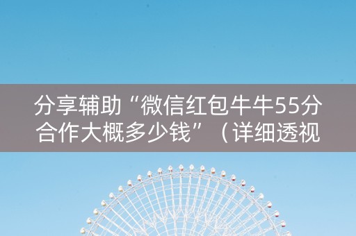 分享辅助“微信红包牛牛55分合作大概多少钱”（详细透视教程）-哔哩哔哩