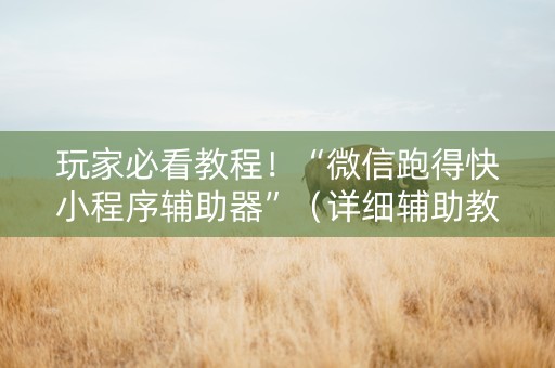 玩家必看教程！“微信跑得快小程序辅助器”（详细辅助教程）-哔哩哔哩