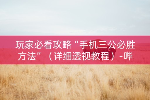 玩家必看攻略“手机三公必胜方法”（详细透视教程）-哔哩哔哩