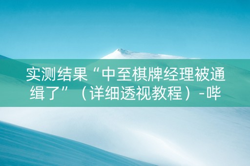 实测结果“中至棋牌经理被通缉了”（详细透视教程）-哔哩哔哩