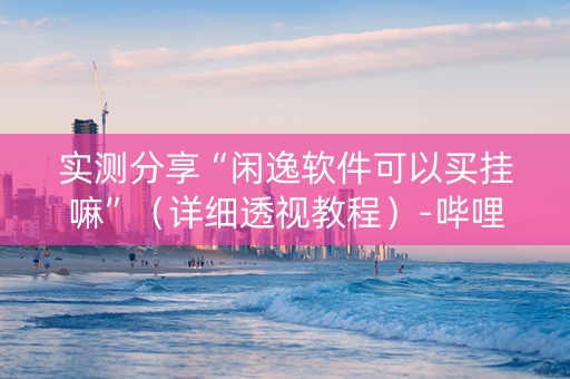 实测分享“闲逸软件可以买挂嘛”（详细透视教程）-哔哩哔哩