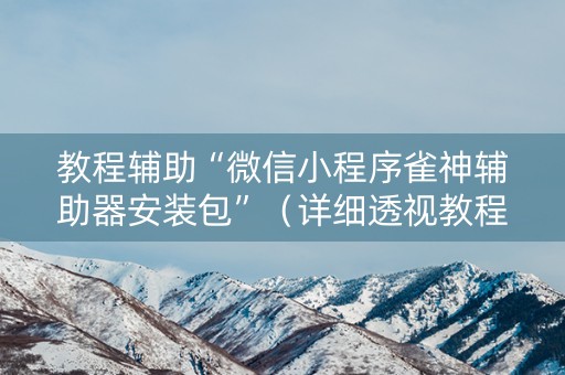 教程辅助“微信小程序雀神辅助器安装包”（详细透视教程）-哔哩哔哩
