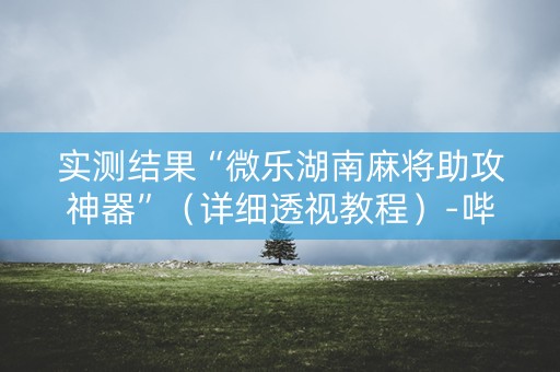 实测结果“微乐湖南麻将助攻神器”（详细透视教程）-哔哩哔哩