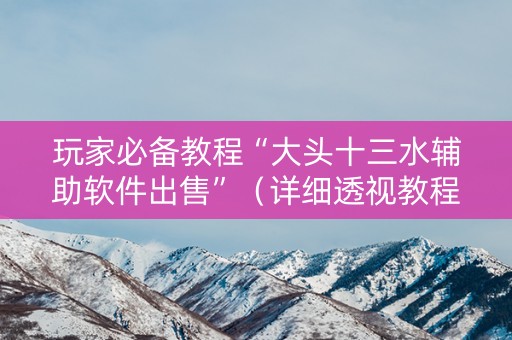 玩家必备教程“大头十三水辅助软件出售”（详细透视教程）-哔哩哔哩
