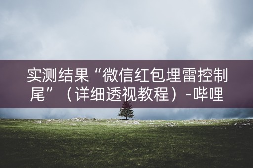实测结果“微信红包埋雷控制尾”（详细透视教程）-哔哩哔哩