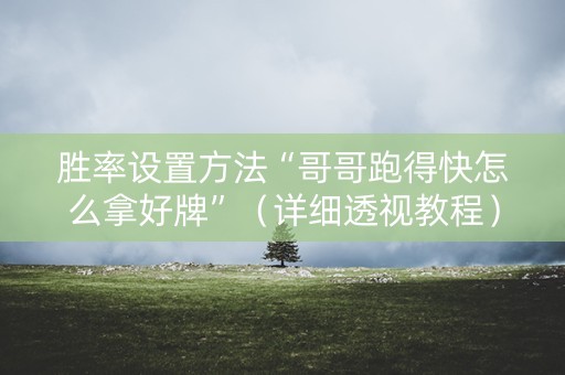 胜率设置方法“哥哥跑得快怎么拿好牌”（详细透视教程）-哔哩哔哩