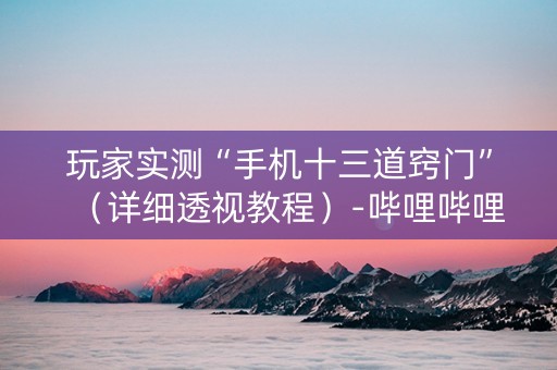 玩家实测“手机十三道窍门”（详细透视教程）-哔哩哔哩