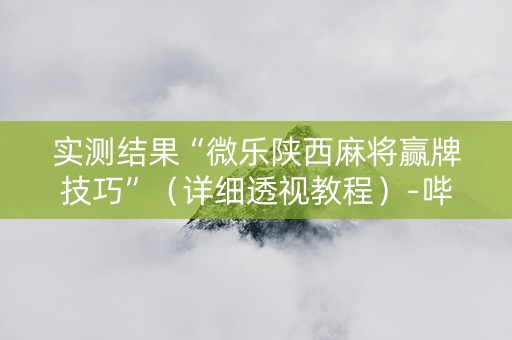 实测结果“微乐陕西麻将赢牌技巧”（详细透视教程）-哔哩哔哩