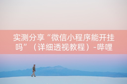 实测分享“微信小程序能开挂吗”（详细透视教程）-哔哩哔哩