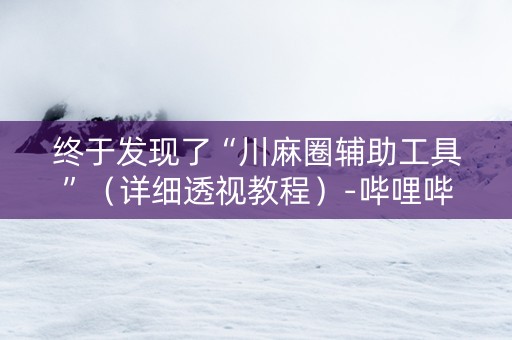 终于发现了“川麻圈辅助工具”（详细透视教程）-哔哩哔哩