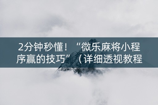2分钟秒懂！“微乐麻将小程序赢的技巧”（详细透视教程）-哔哩哔哩