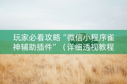 玩家必看攻略“微信小程序雀神辅助插件”（详细透视教程）-哔哩哔哩
