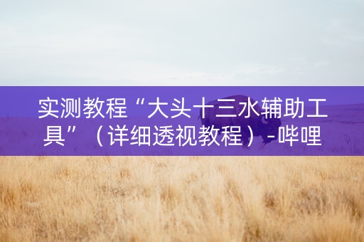 实测教程“大头十三水辅助工具”（详细透视教程）-哔哩哔哩