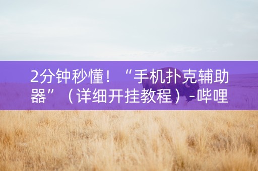 2分钟秒懂！“手机扑克辅助器”（详细开挂教程）-哔哩哔哩