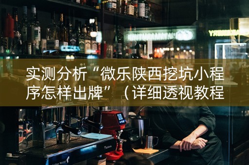 实测分析“微乐陕西挖坑小程序怎样出牌”（详细透视教程）-哔哩哔哩