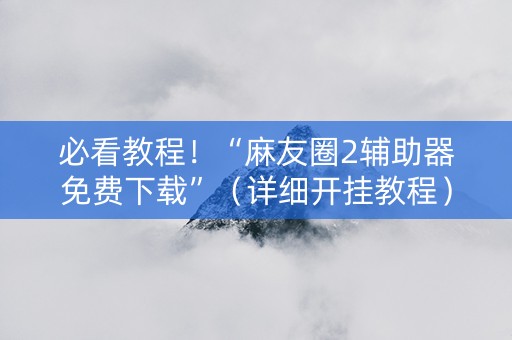必看教程！“麻友圈2辅助器免费下载”（详细开挂教程）-哔哩哔哩
