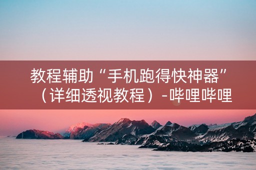 教程辅助“手机跑得快神器”（详细透视教程）-哔哩哔哩