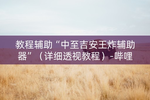 教程辅助“中至吉安王炸辅助器”（详细透视教程）-哔哩哔哩