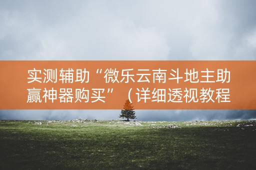 实测辅助“微乐云南斗地主助赢神器购买”（详细透视教程）-哔哩哔哩